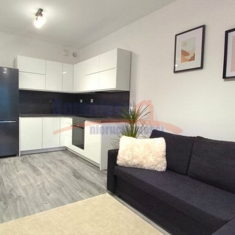 Żelechowa, ul. Małe Błonia, Szczecin - Zdjęcie 1