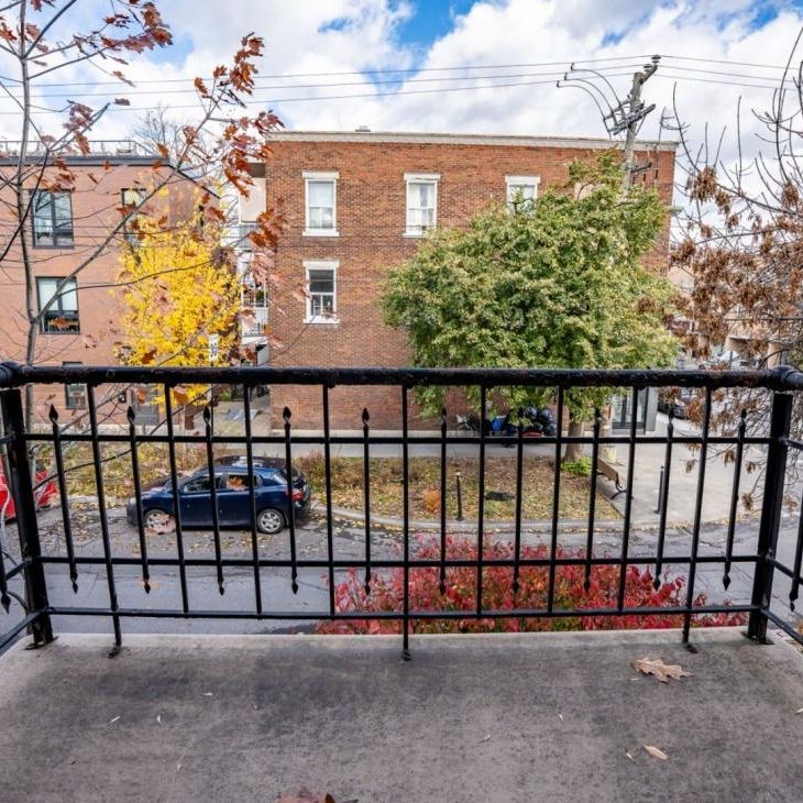 Appartement à louer - Montréal (Rosemont/La Petite-Patrie) (La Petite-Patrie) - Photo 1