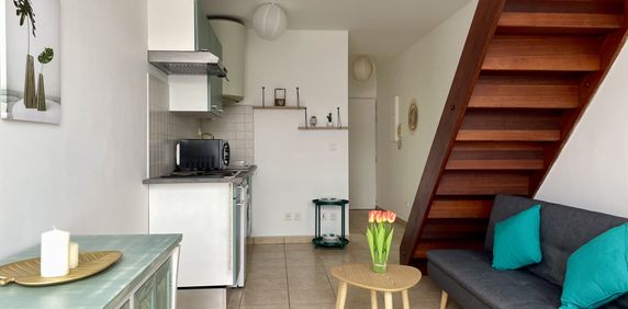 Location Appartement 2 pièces 42m² LE TAMPON 97430 - Photo 2