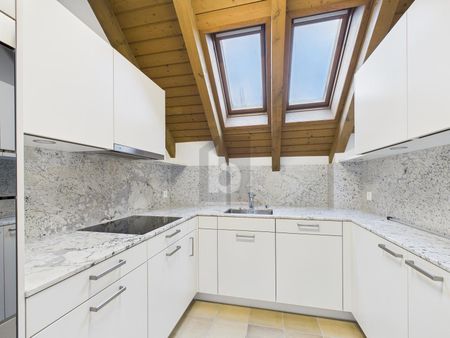 FRESHLY RENOVATED, WITH VIEW OVER THE LIMMATTAL VALLEY - Photo 5