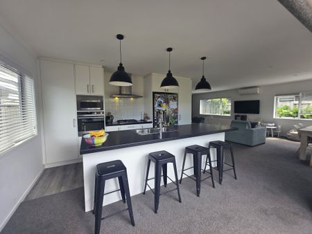 Dive into Dunkeld - Papamoa - Photo 5