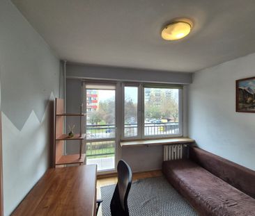 Lublin, Czuby Północne, Skarpa, Sympatyczna - Photo 3