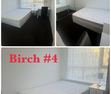 4-bedroom shared house, Birch Grove - Photo 1