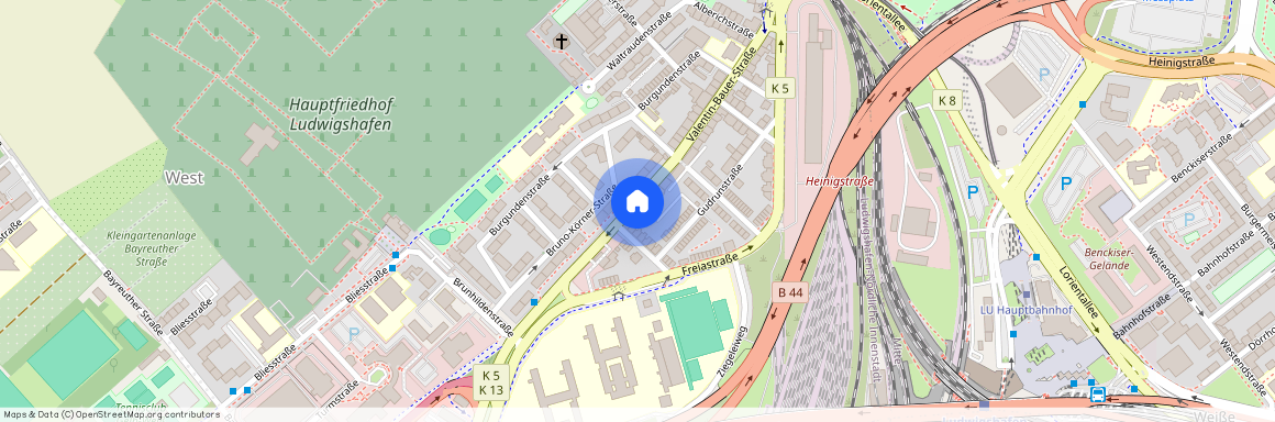 Valentin-Bauer-Straße 41, 67059 Ludwigshafen