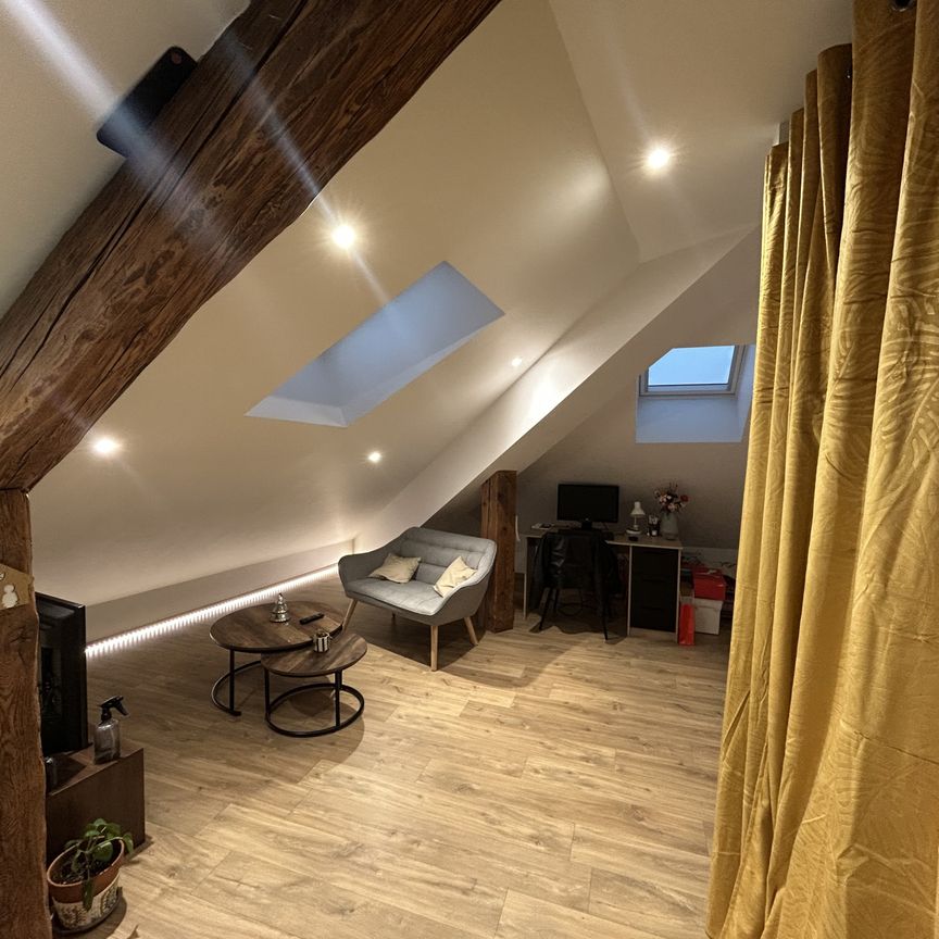 Location Appartement 1 pièce 21m² REMIREMONT 88200 - Photo 1