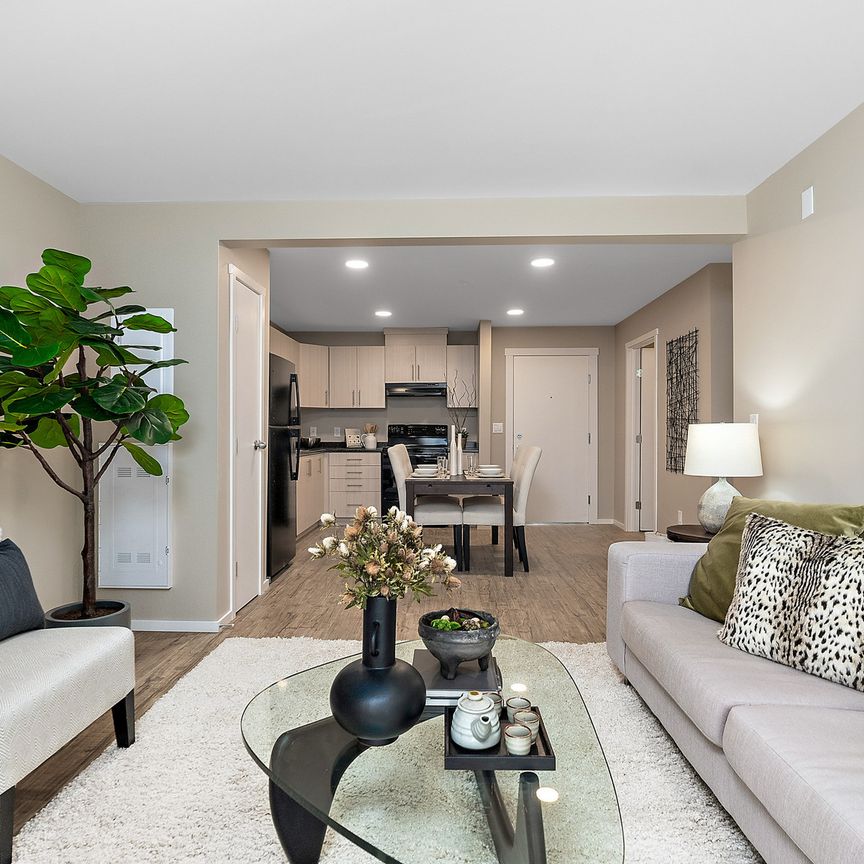 One Bedroom One Bath - Photo 1