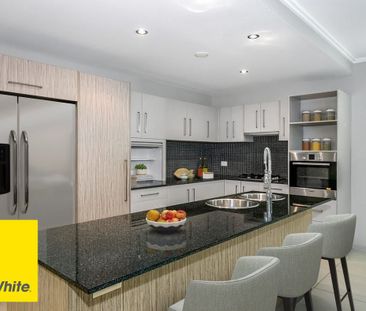 CONTEMPORARY & TROPICAL KEWARRA BEACH APARTMENT - AWARD WINNING COM... - Photo 4