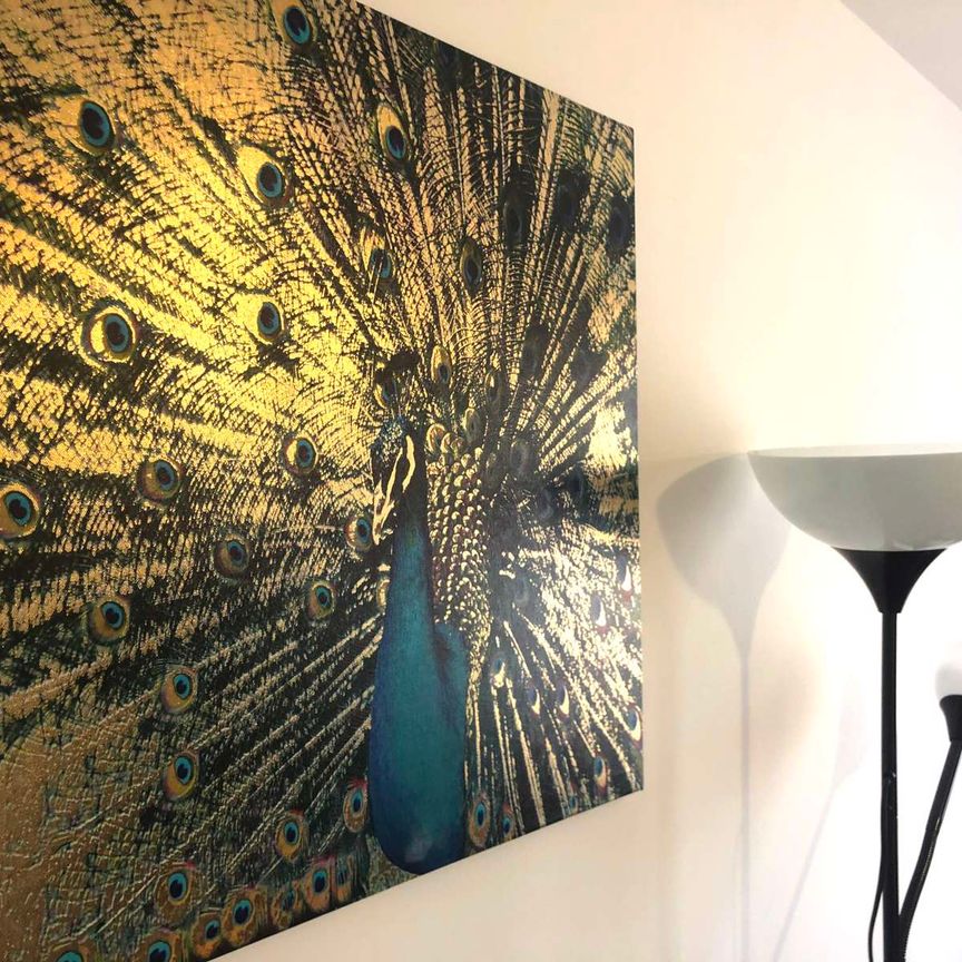 Malthouse Road Room 2 - Top Floor Back - Photo 1