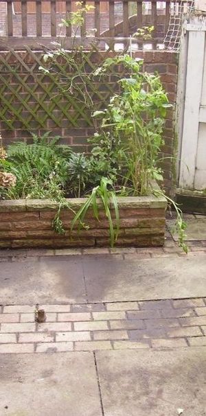 5 bedroom terraced house to rent - Photo 1