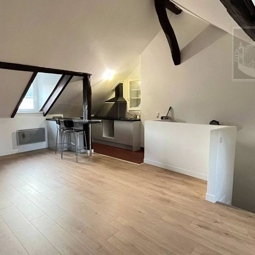 Rental Apartment - Photo 1