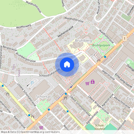 8400, Winterthur, Schlosshofstrasse, 21