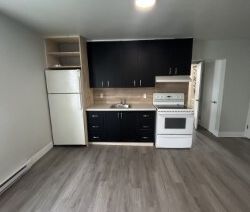4 ½ RÉNOVÉ À LOUER - Photo 2