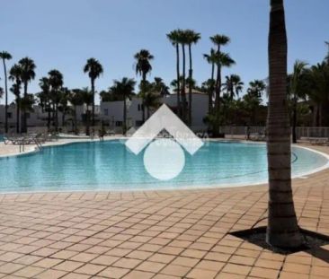 Piso en alquiler en La Oliva - Foto 4