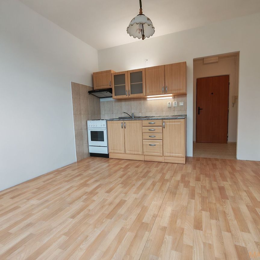 Pronájem bytu 1+1 36 m² - Photo 1