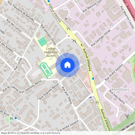 41 bis rue Auguste Renoir, 31200, Toulouse