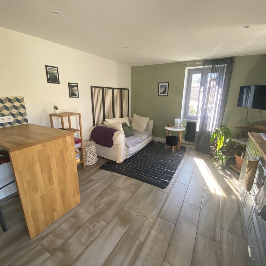 Location Appartement 2 pièces 30m² THONON LES BAINS 74200 - Photo 1