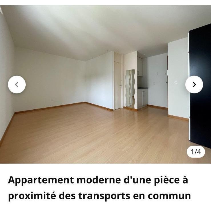 Logement meublé à Biel/Bienne - Foto 1