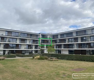 Luxueus nieuwbouwappartement te huur met zicht op de Leie nabij War... - Foto 2