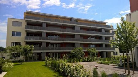 Small but nice! - Photo 3