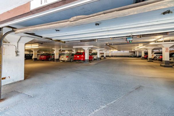 Campbell Place Apartments - ALL INCLUSIVE - Photo 1