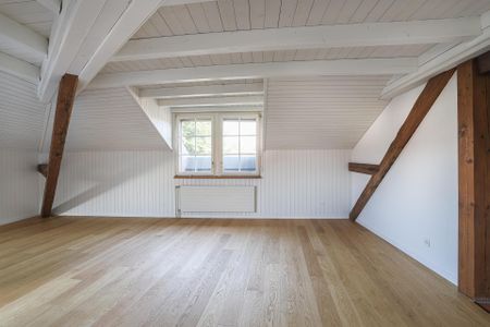 Maisonettewohnung im Zentrum von Winterthur - Photo 3