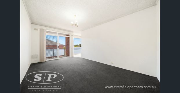 * North facing spacious living - Photo 1