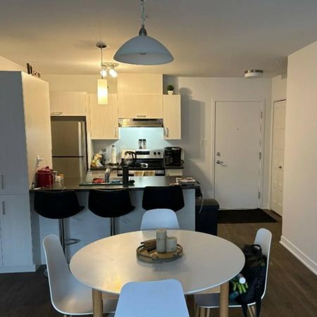 Logement 1 chambre - 1 salle de bain - Photo 4