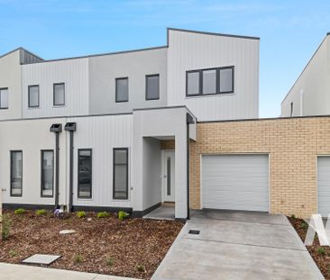 15 Noble Mews, Clyde North VIC 3978 - House For Rent | Domain - Photo 3