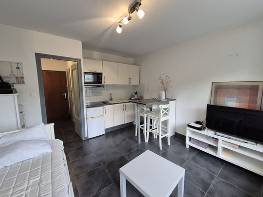 Location Appartement 1 pièce 21m² ST JULIEN EN GENEVOIS 74160 - Photo 1