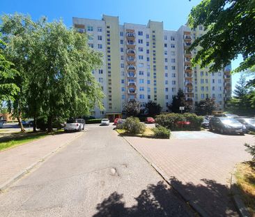 mieszkanie na wynajem - Szczecin, Książąt Pomorskich, ul. Ks. bpa W... - Photo 2