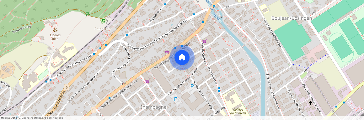 2504, Biel, Chemin Des Grillons / Grillenweg, 13