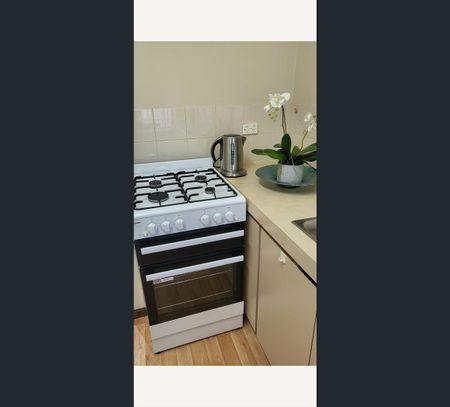 Unit 5 Tyler Street, Joondanna, WA 6060 - Photo 4
