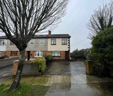 Wood Avens, Clondalkin, Dublin 22 - Photo 1