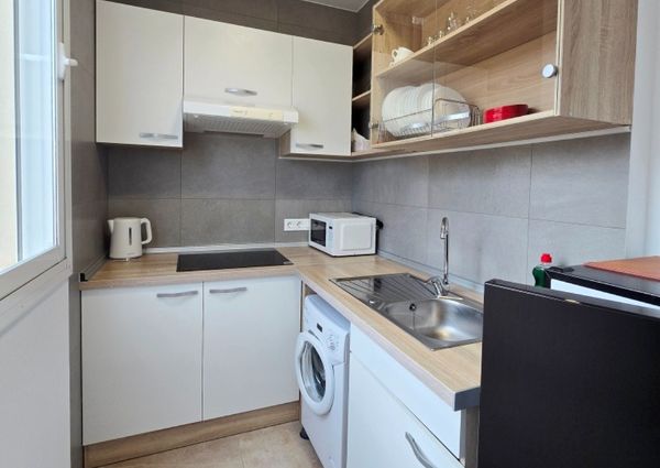 WINTER RENTAL. SE 1bedroom penthouse apartment for rent with sea views