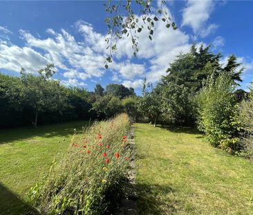 Available late November, 2 Manor Gardens is a welcoming two bedroom... - Photo 5