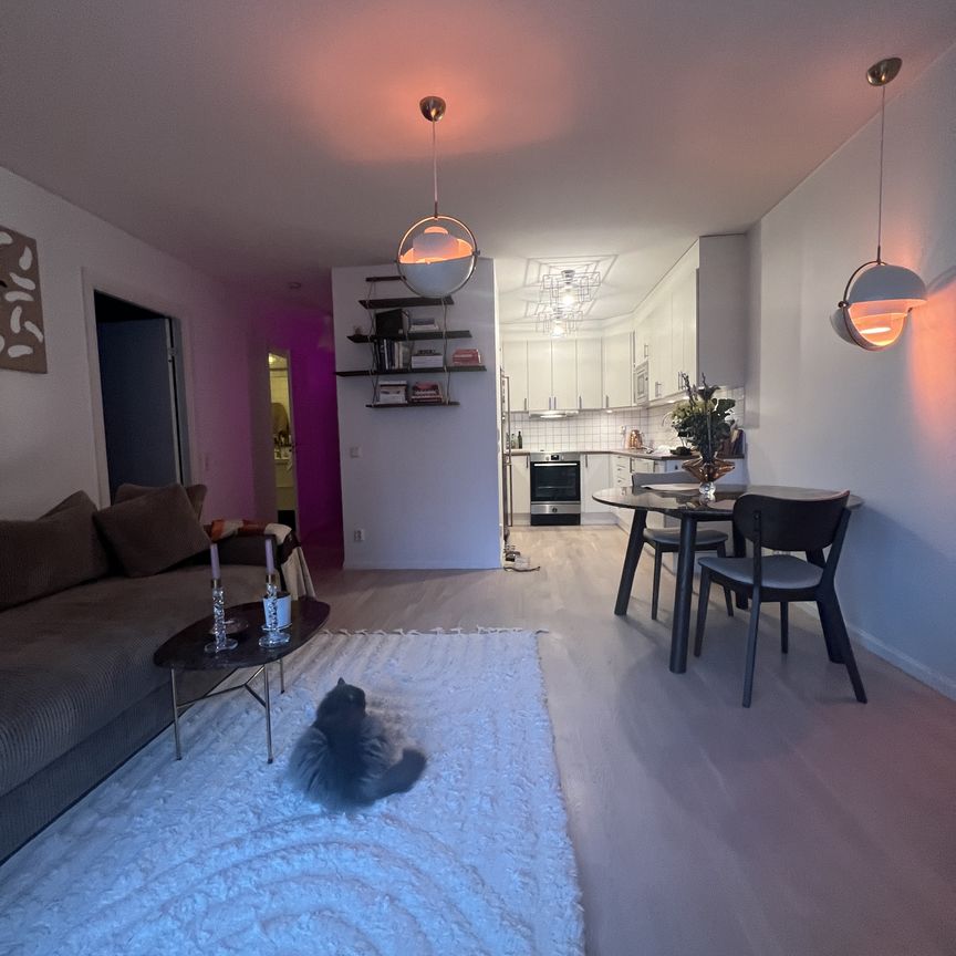 Primusgatan, Stockholm - Photo 1