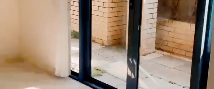 19 Bruce St, Sydney - Photo 1