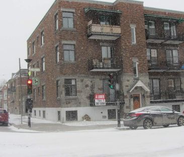 Montréal 3½ à louer - Photo 2