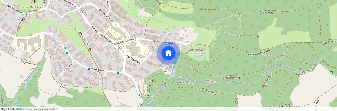 Im Trichtisal 11a, 8053 Zürich, Lageplan