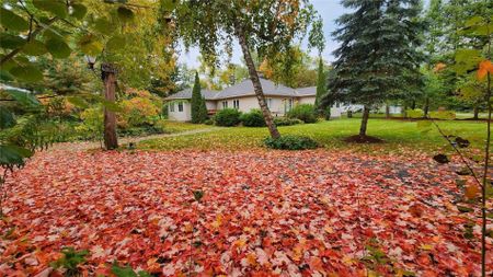 For Lease - 3968 30 Side Road, Innisfil, Ontario - Photo 3