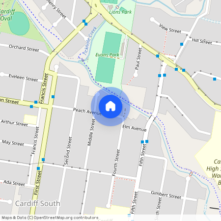 2/3 Peach Ave, NSW 2285, Cardiff South