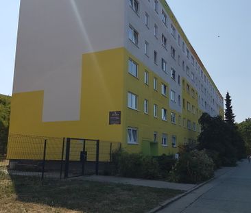 Paul-Hindemith-Straße 20 - Foto 4