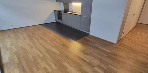 Appartement 3 pièces | Eaux-Vives - Foto 2