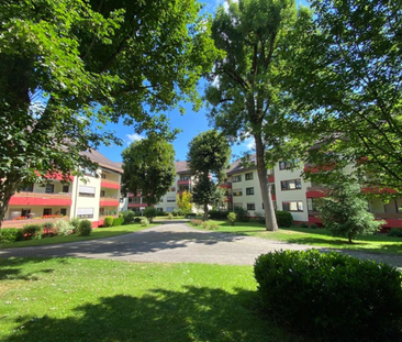 zu Vermieten: 2 Zi.-Whg / mitten in Bad Dürrheim / wohnen im Park - Photo 6