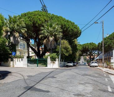 Rua do Viveiro - Photo 3