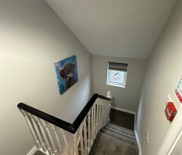 Ensuite Room 1, 95 Enfield St, Belfast, BT13 3DJ - Photo 2