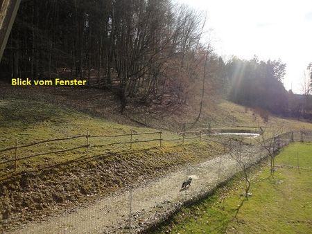 Gemütliche Wohnung in idyllischer Umgebung in Ruhelage - Photo 5