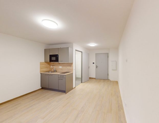 Ruhe zum Lernen! Dein eigenes 1-Zimmer Apartment in der Nähe der Universität Magdeburg - Photo 1