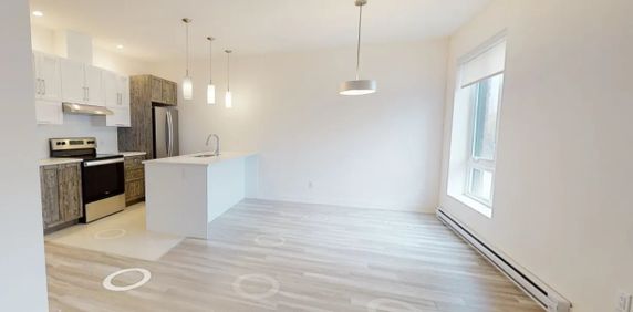 42 Rue Marjorie-D.-Shackleton (Hull) Magnifique Appartement De Deux Chambres - Photo 2