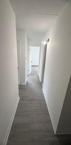 2 CH - 1 SDB - Québec - $1,349 /mo - Photo 1